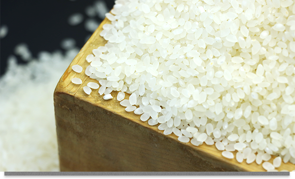 ヘルシーな朝食全体イメージ