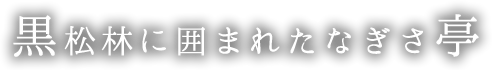 黒松林に囲まれたなぎさ亭